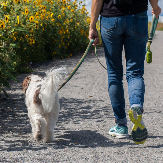 Eco-Friendly Waste Solutions: Biodegradable Dog Waste Bags