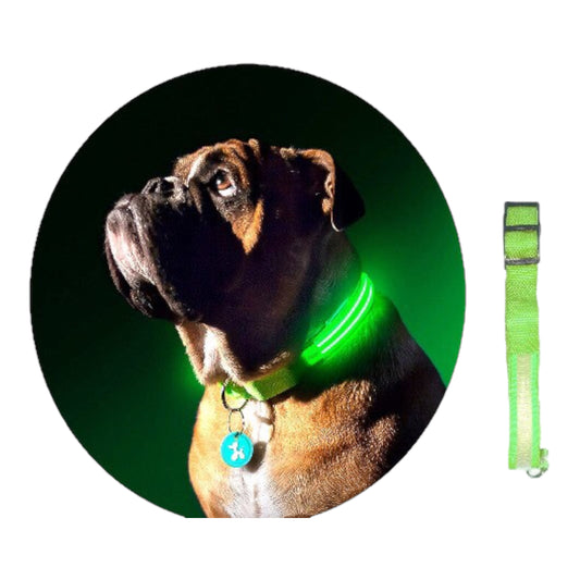 LED Light Up Collar - Doki Pet UK