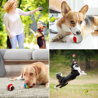 Bouncy Tennis Balls - Doki Pet UK