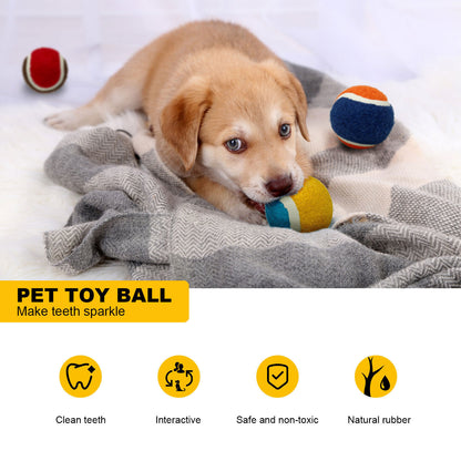 Bouncy Tennis Balls - Doki Pet UK